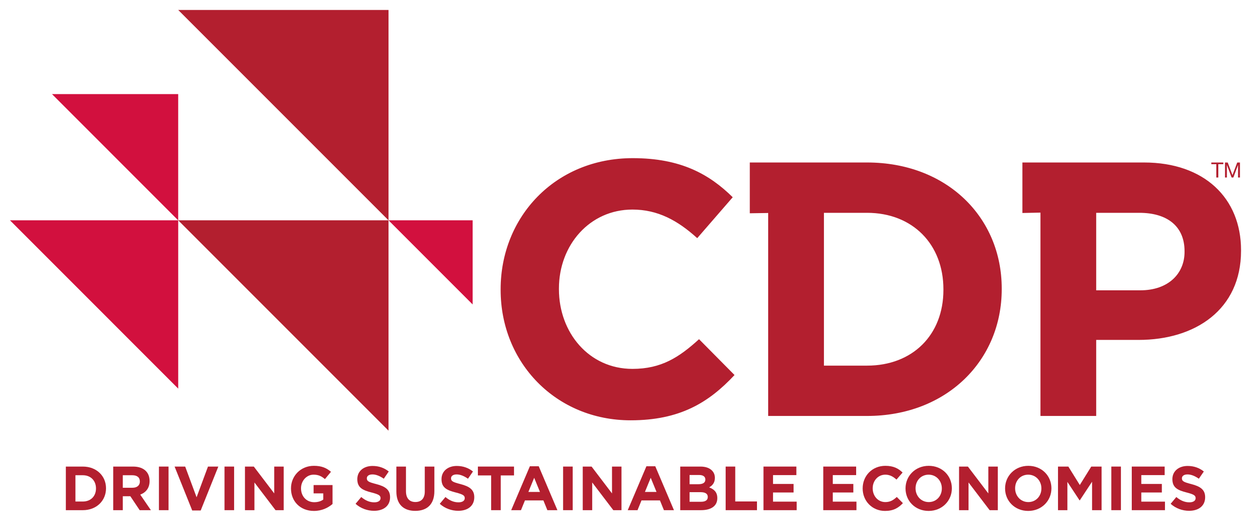 CDP - Carbon Disclosure Project